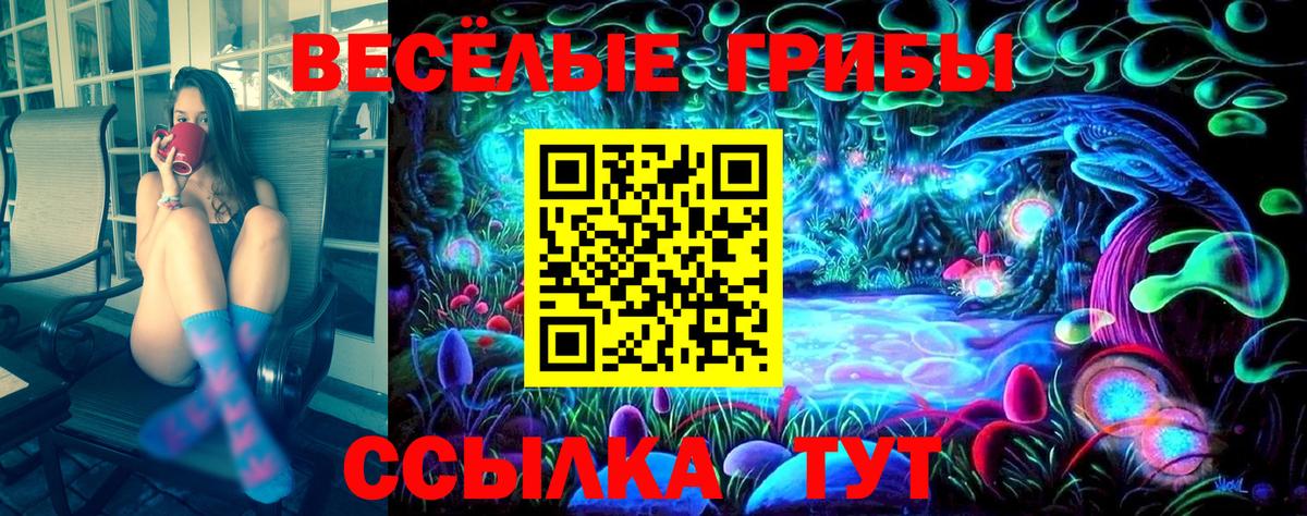 Галлюциногенные грибы GOLDEN TEACHER  Галлюциногенные грибы ЛСД  Вход с VPN  Барнаул 